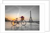 Bicycle and Eiffel tower by Assaf Frank